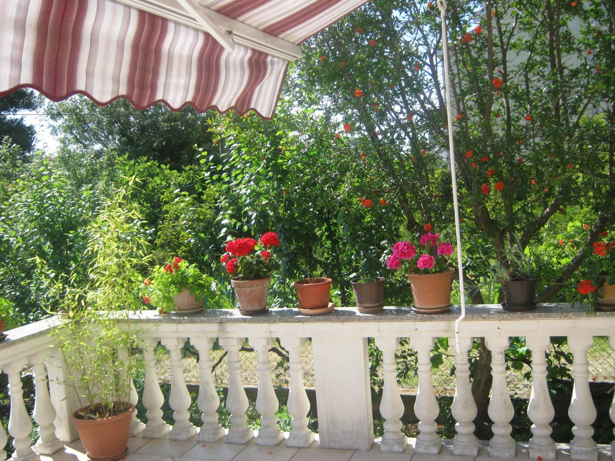 Apartments Grzunov Ζαντάρ Δωμάτιο φωτογραφία